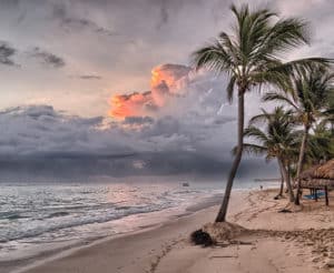 Strand mit Palmen